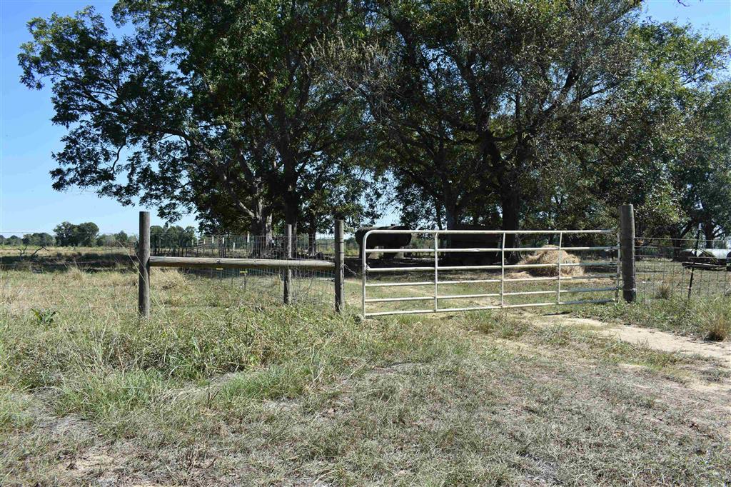 252 Logan ln - Photo 4