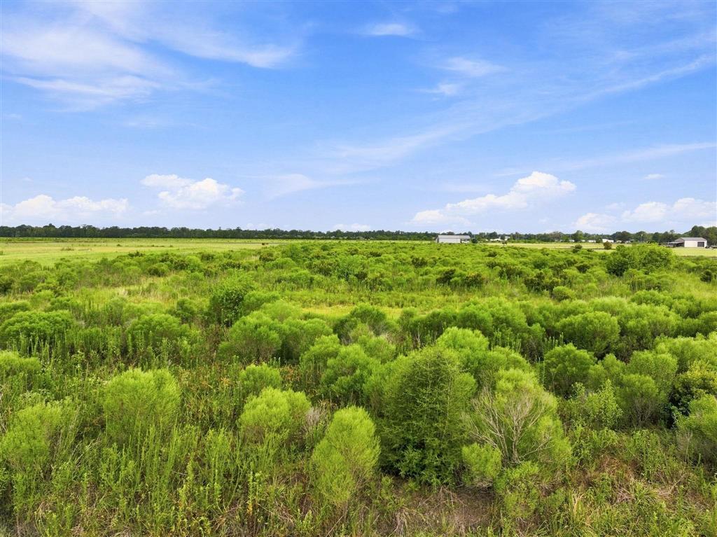 877 Birdnest Road - Photo 4