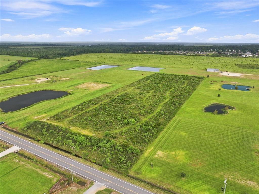 877 Birdnest Road - Photo 3