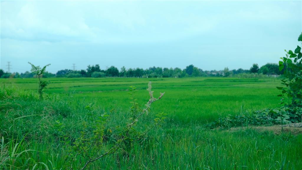 Photo 1 of 4 — 202 W Highway 90 W, Iowa, LA 70647