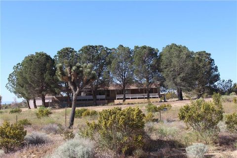 Single Family Residence in Mojave CA 4034 Sopp Road.jpg