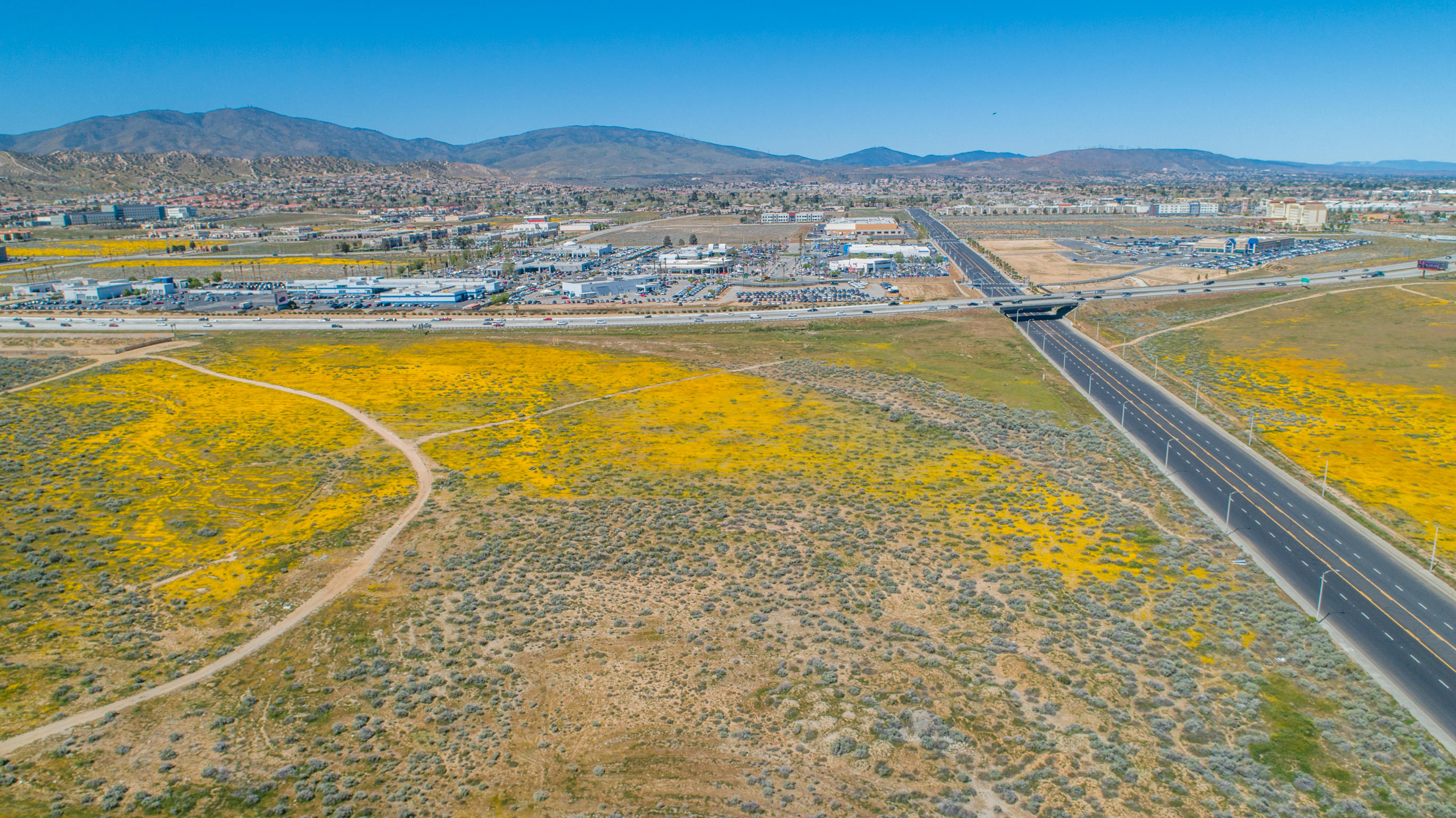 Palmdale, California 93550, United States, ,Land,Active,75604