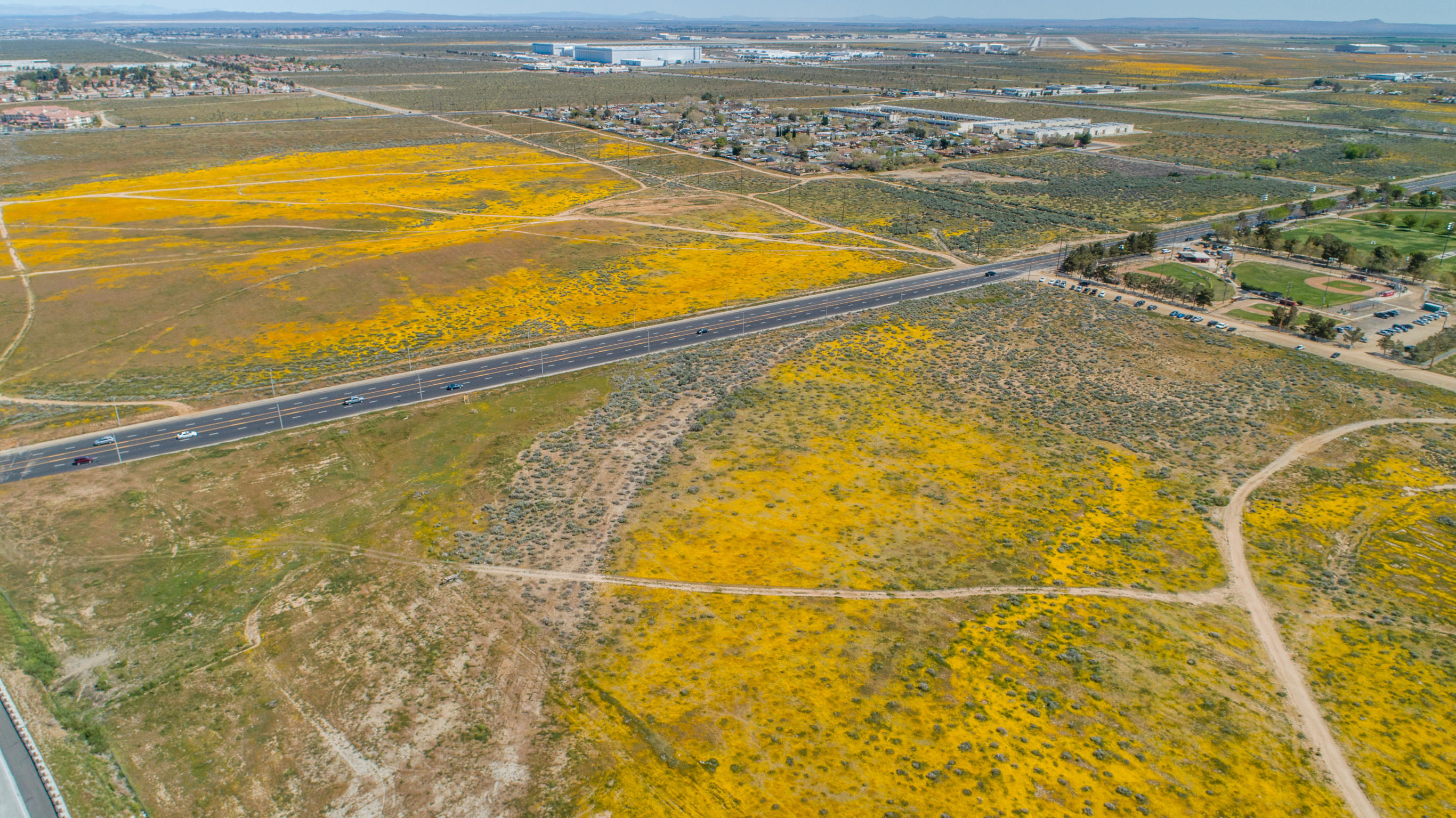 Palmdale, California 93550, United States, ,Land,Active,75604