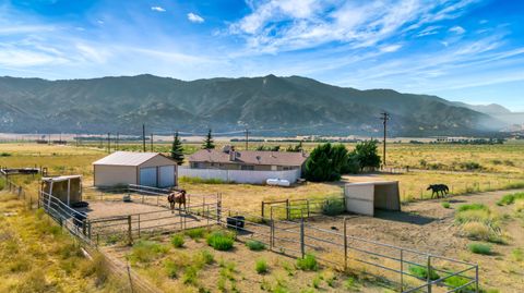 A home in Caliente