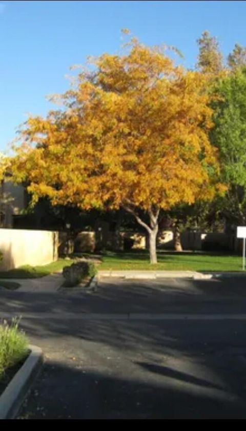 A home in Lancaster