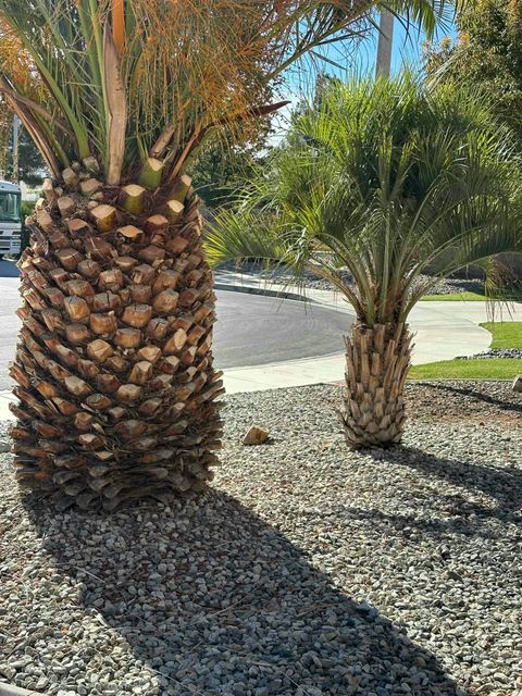 A home in Palmdale