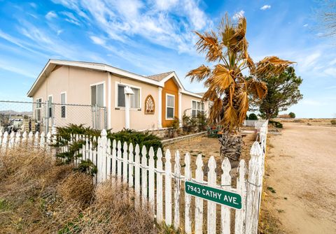 A home in Rosamond