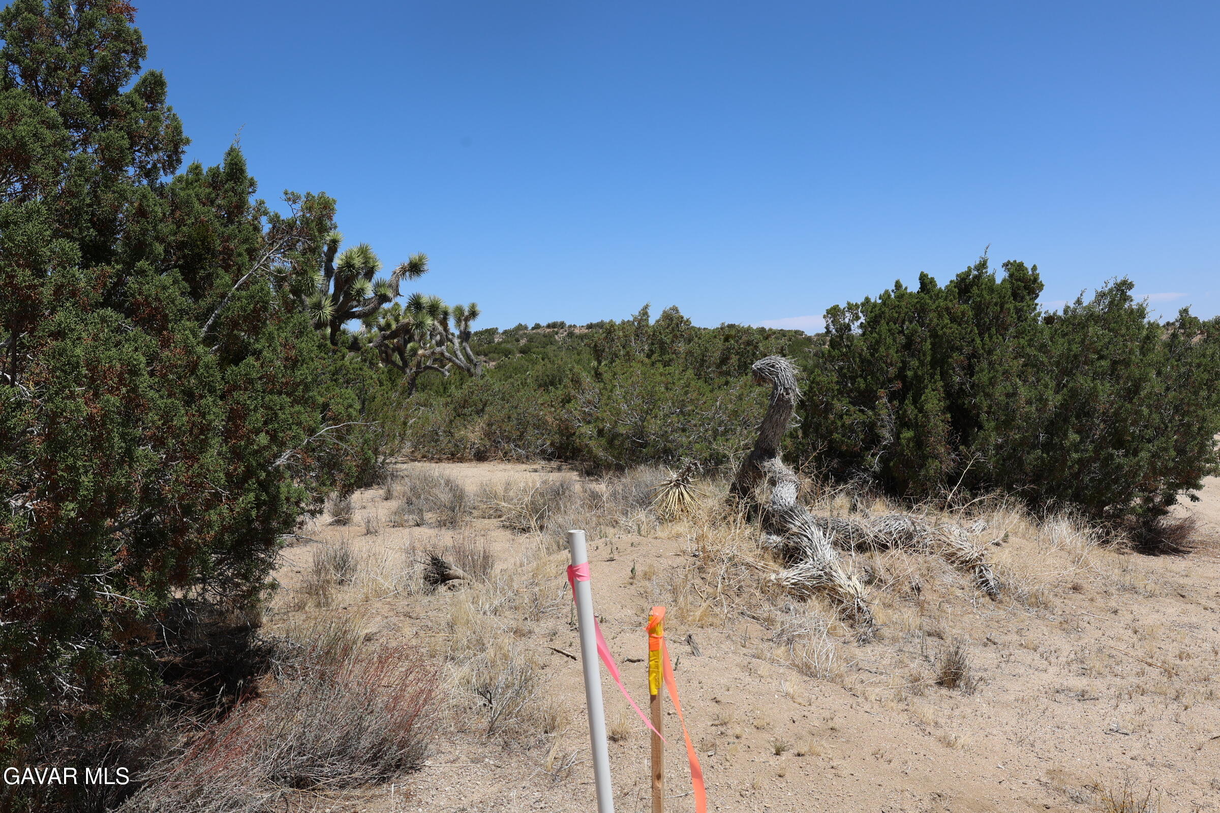 Juniper Hills, California 93543, United States, ,Land,Active,155378