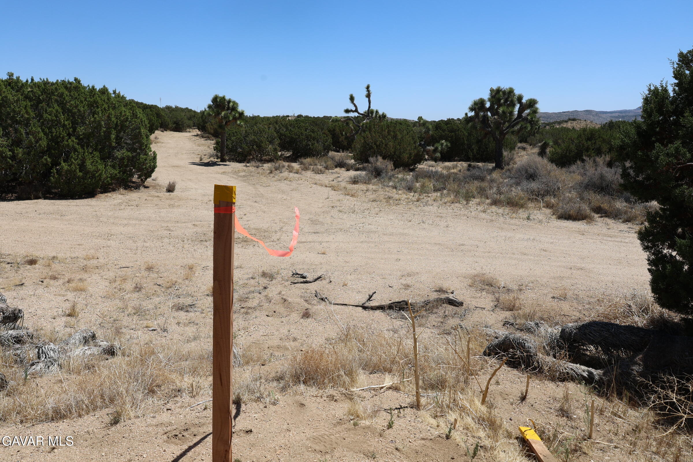 Juniper Hills, California 93543, United States, ,Land,Active,155378