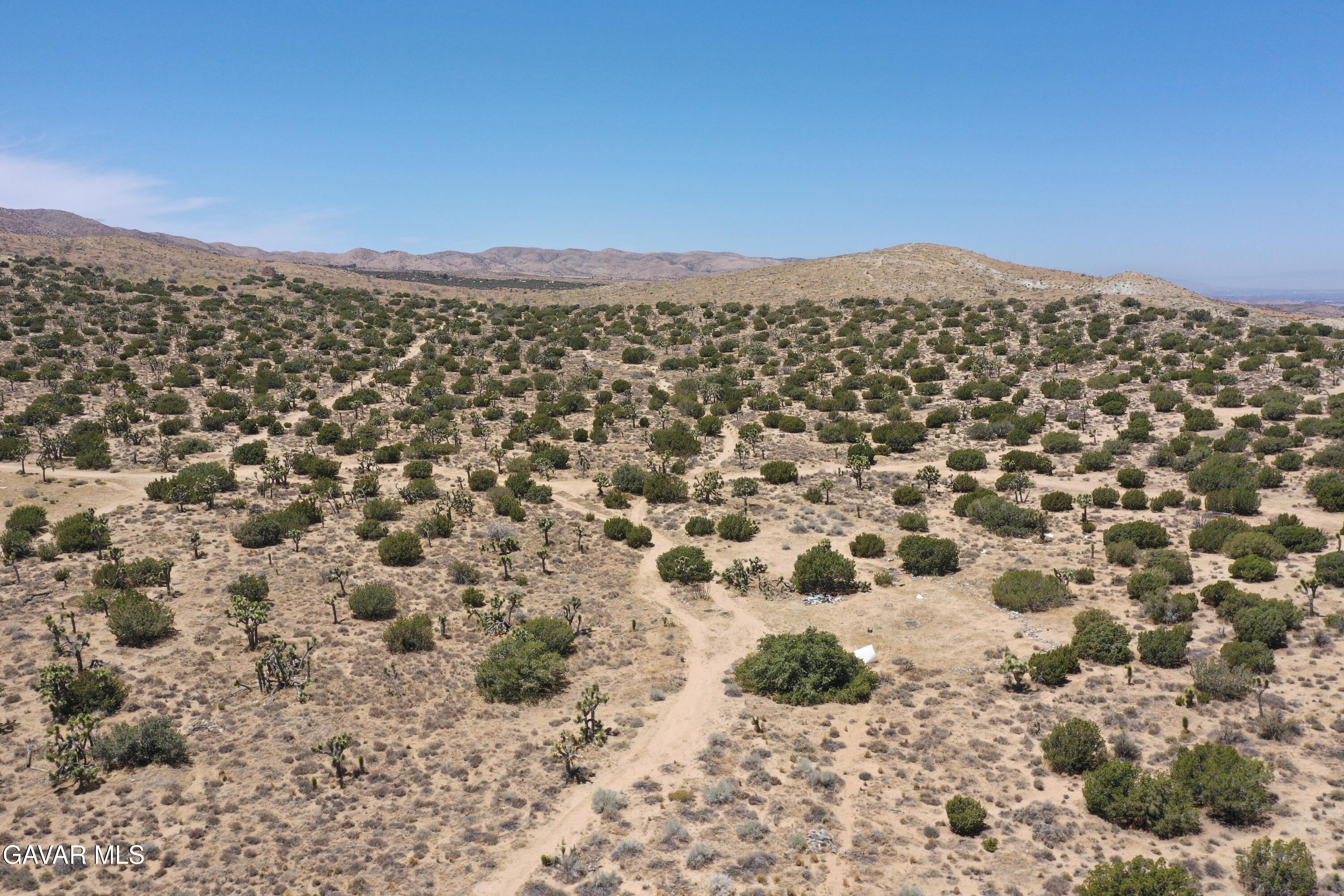 Juniper Hills, California 93543, United States, ,Land,Active,155378