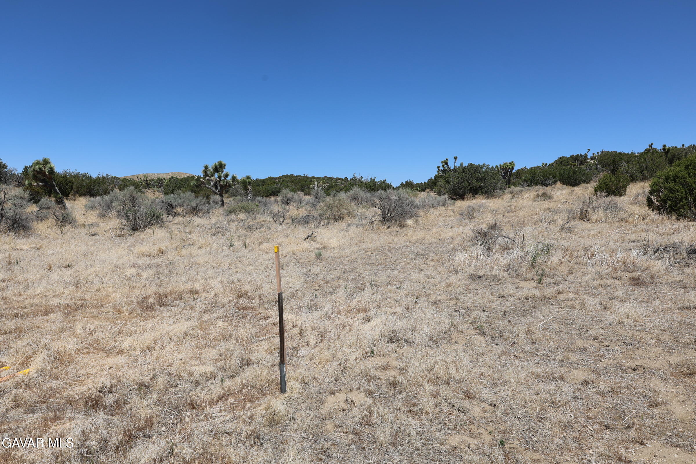 Juniper Hills, California 93543, United States, ,Land,Active,155378