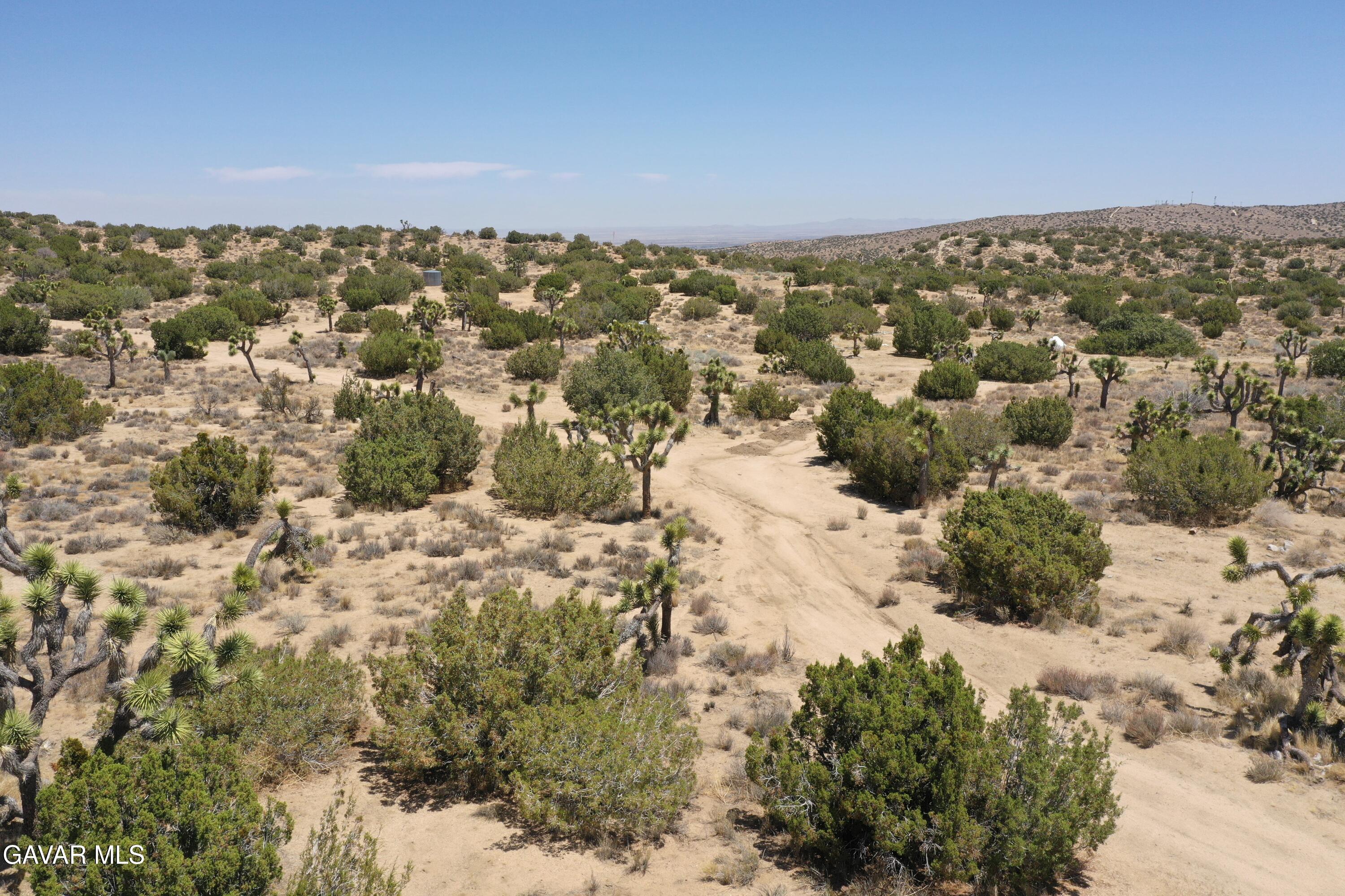 Juniper Hills, California 93543, United States, ,Land,Active,155378