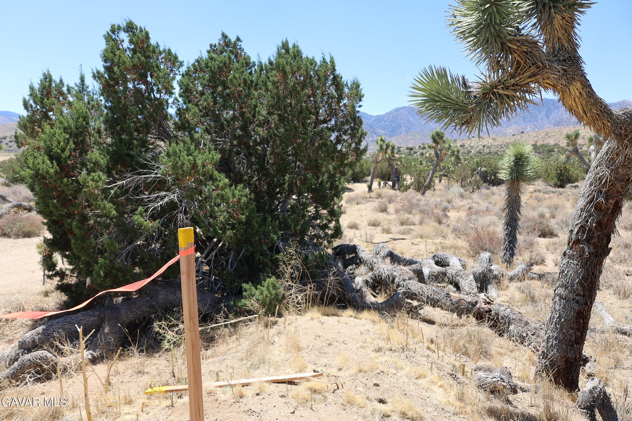 Juniper Hills, California 93543, United States, ,Land,Active,155378