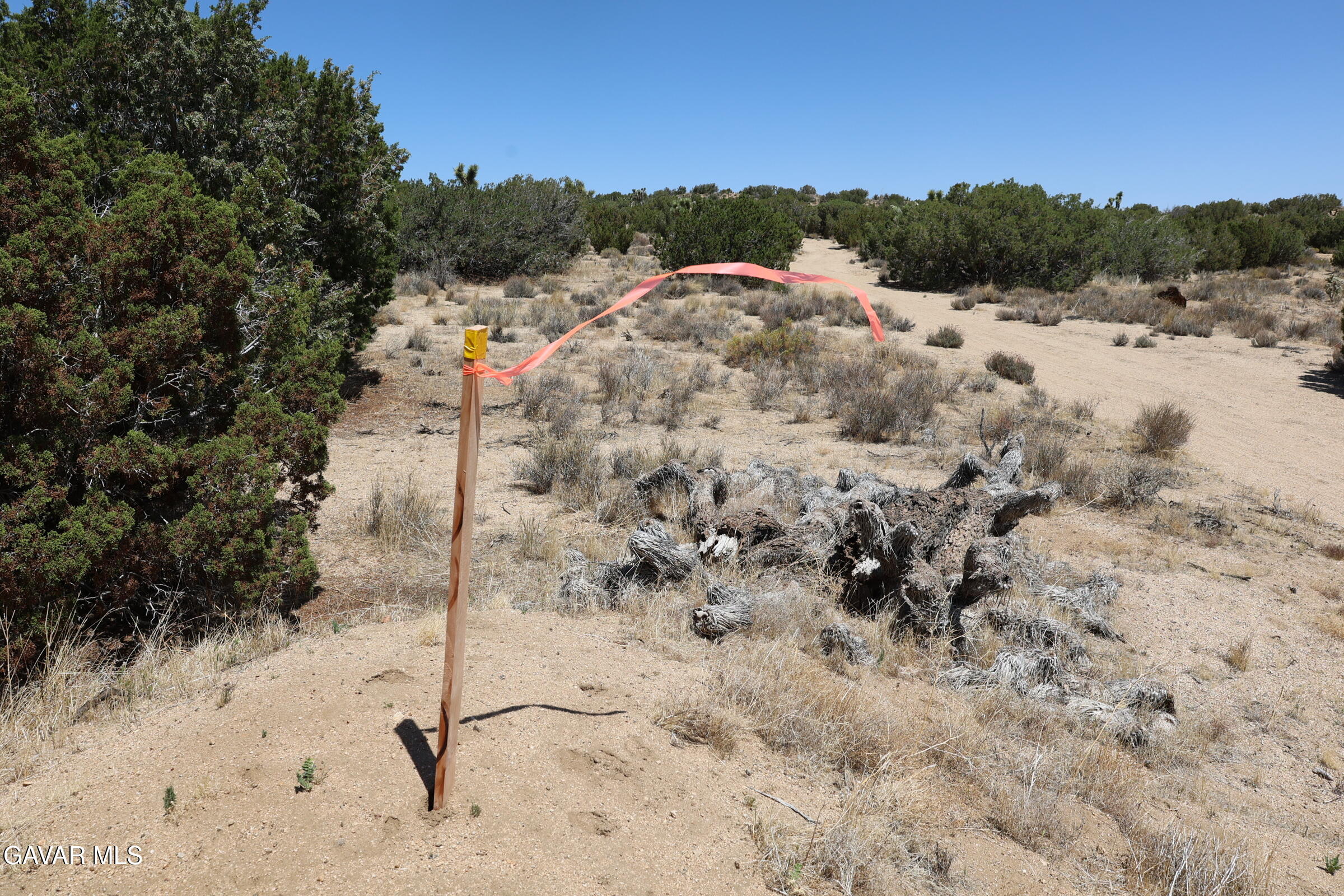 Juniper Hills, California 93543, United States, ,Land,Active,155378