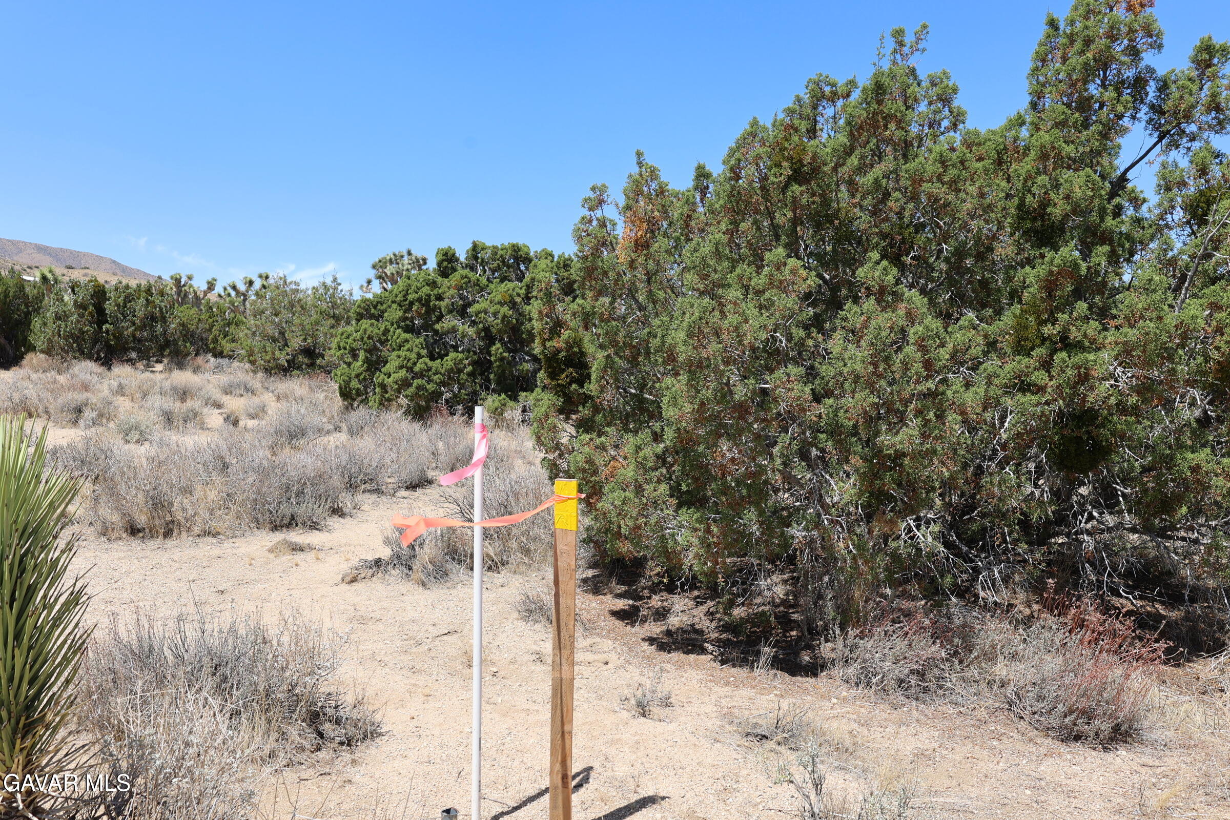 Juniper Hills, California 93543, United States, ,Land,Active,155378