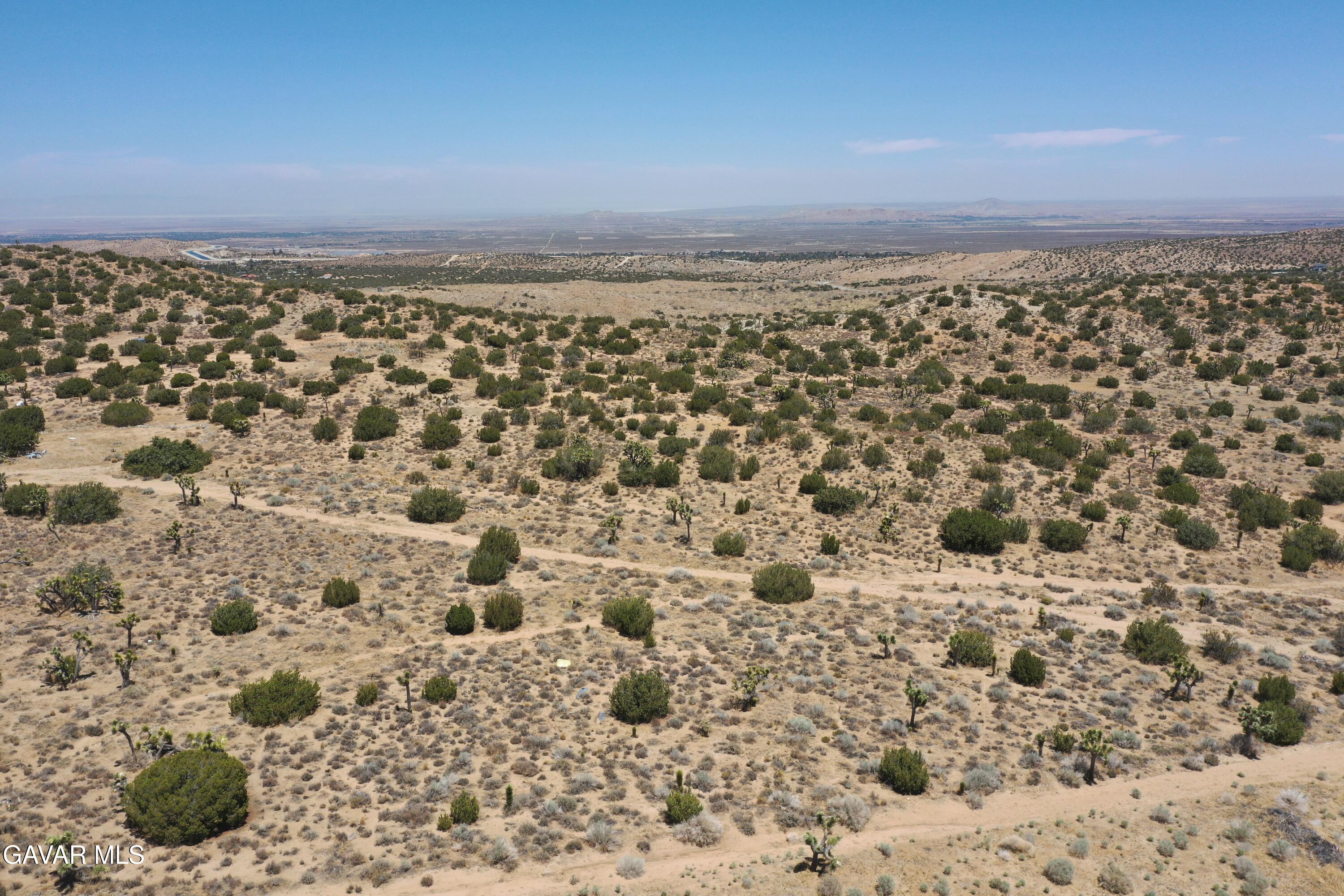 Juniper Hills, California 93543, United States, ,Land,Active,155378