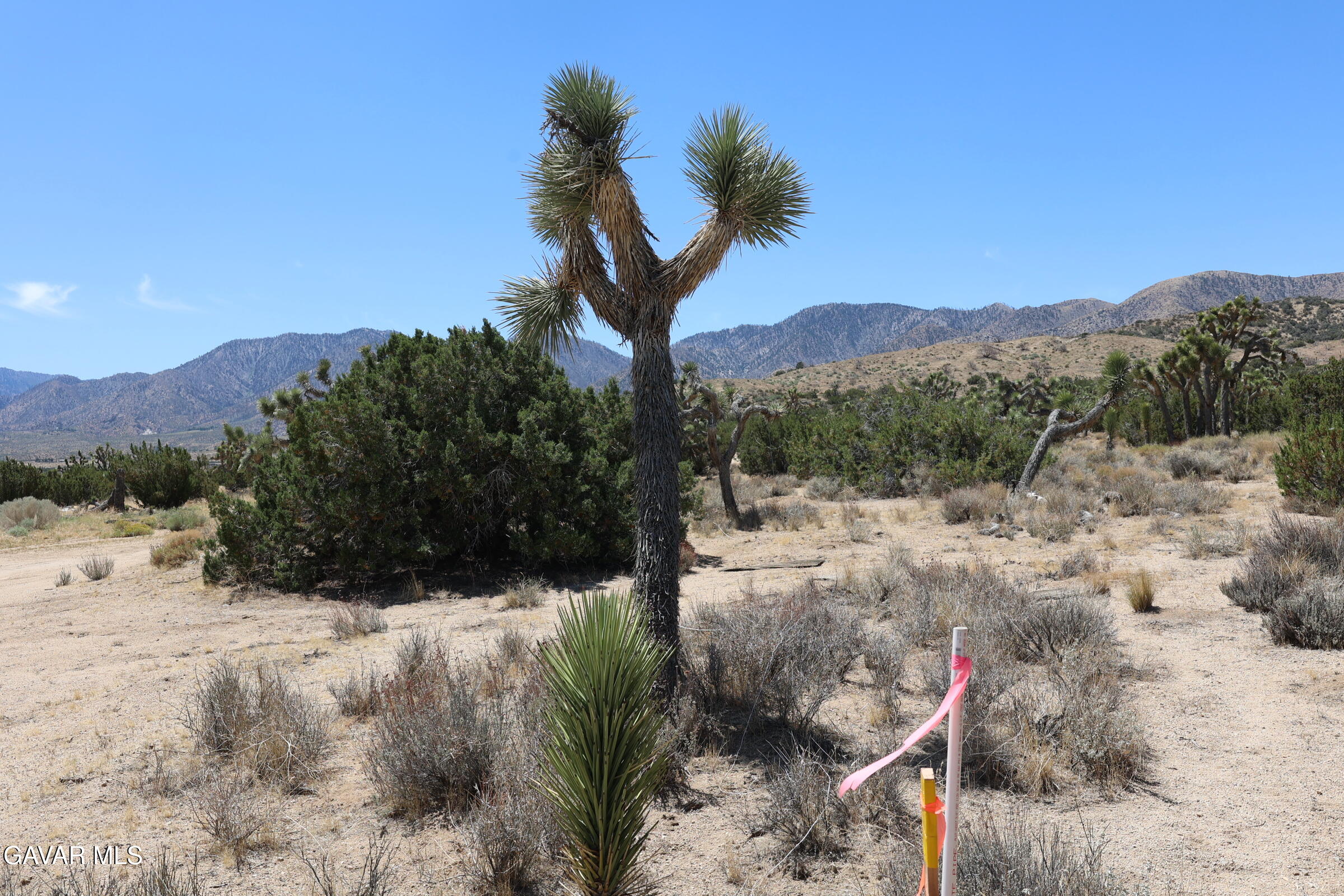 Juniper Hills, California 93543, United States, ,Land,Active,155378