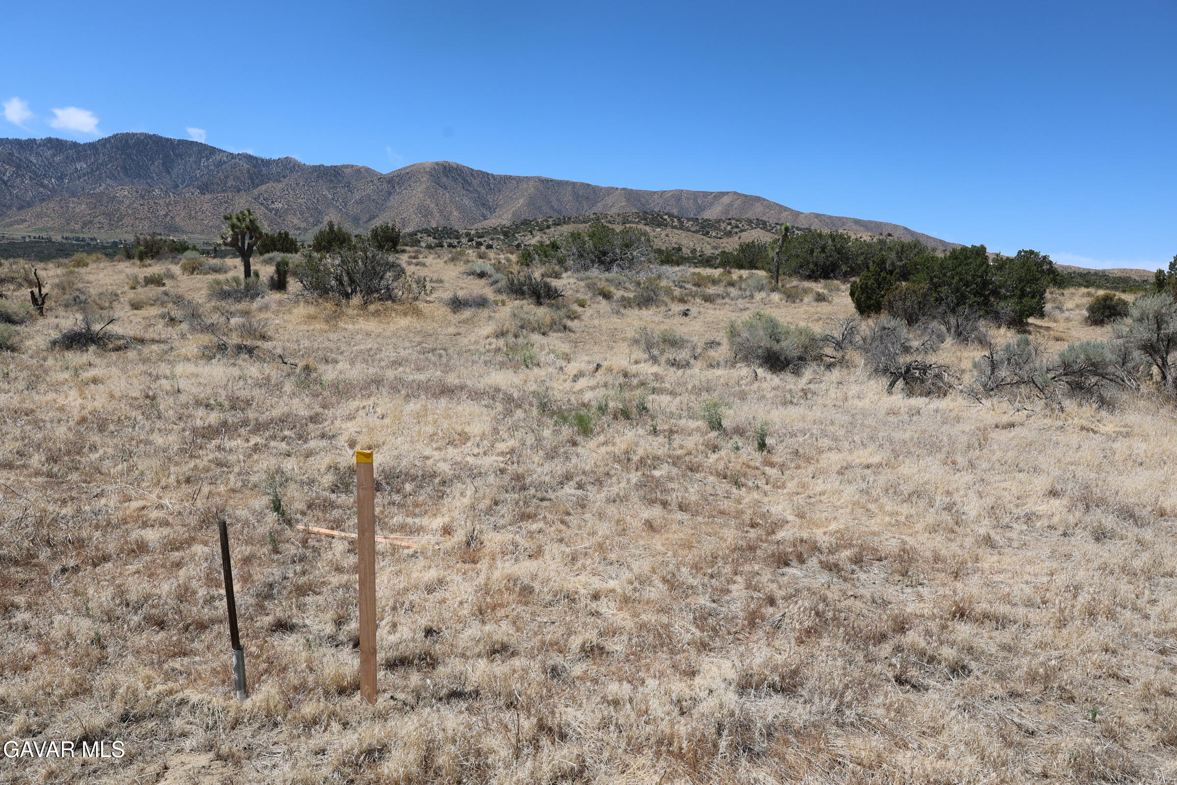 Juniper Hills, California 93543, United States, ,Land,Active,155378