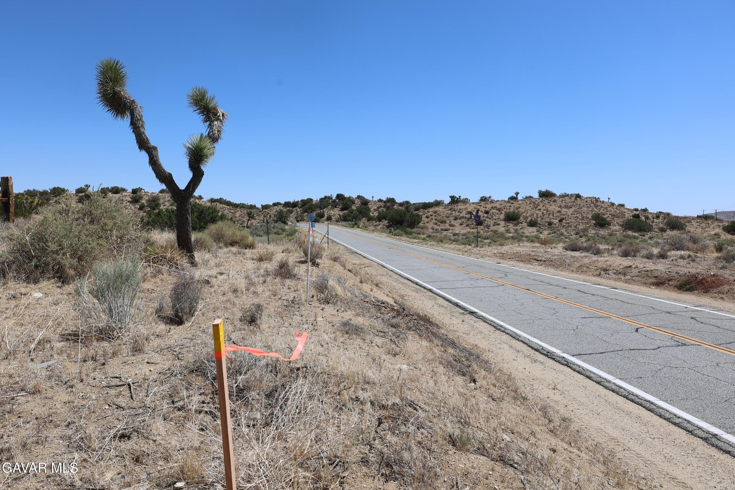 Juniper Hills, California 93543, United States, ,Land,Active,155378