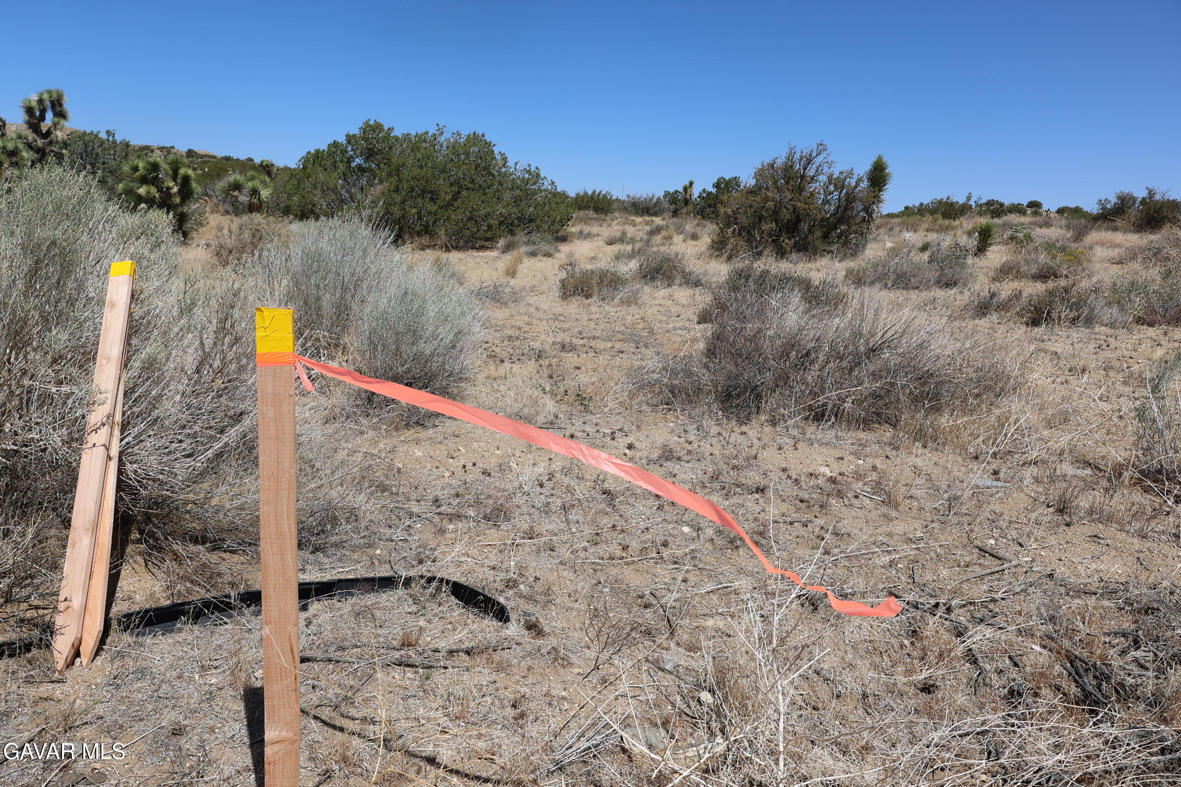 Juniper Hills, California 93543, United States, ,Land,Active,155378