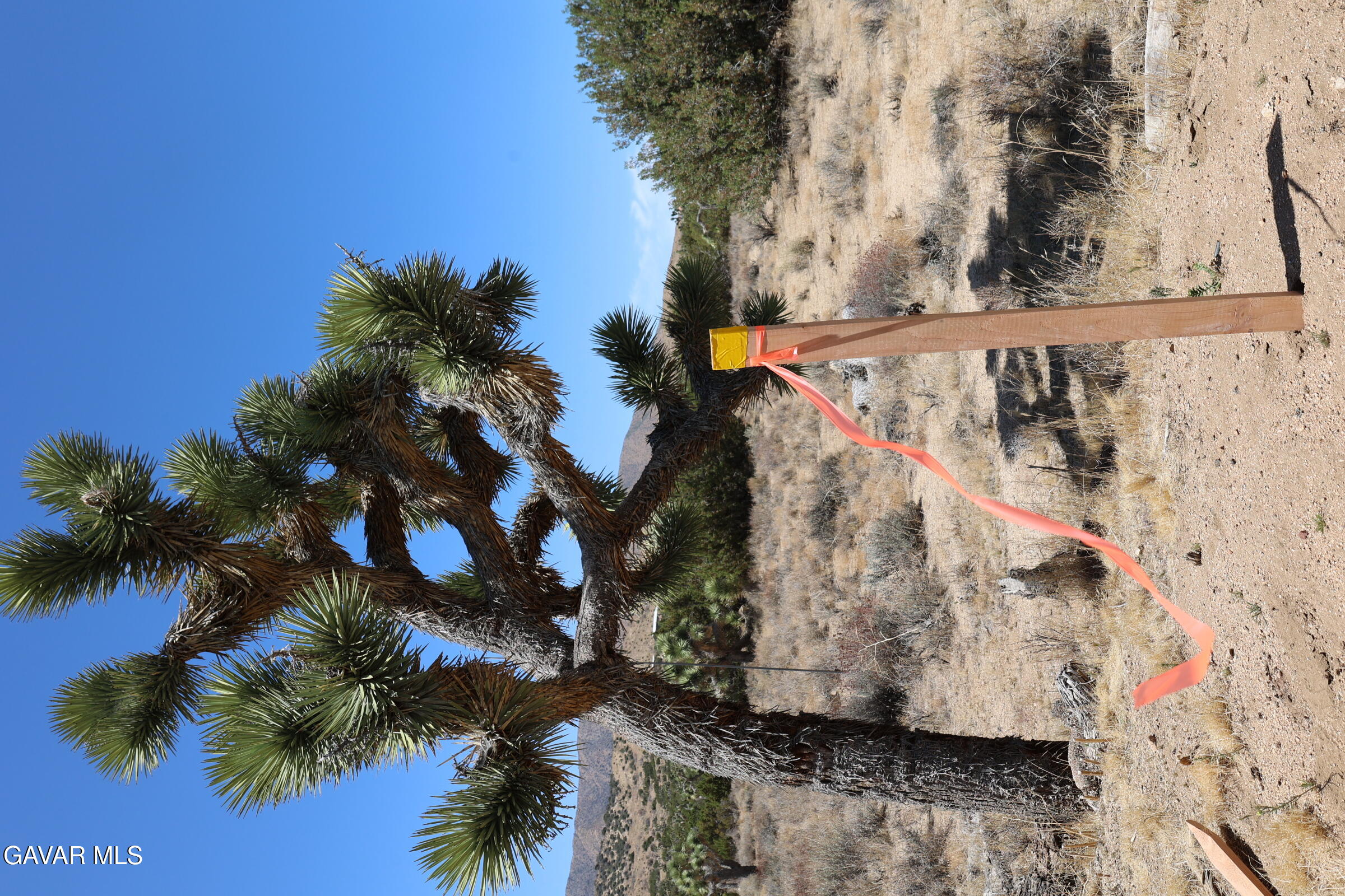 Juniper Hills, California 93543, United States, ,Land,Active,155378