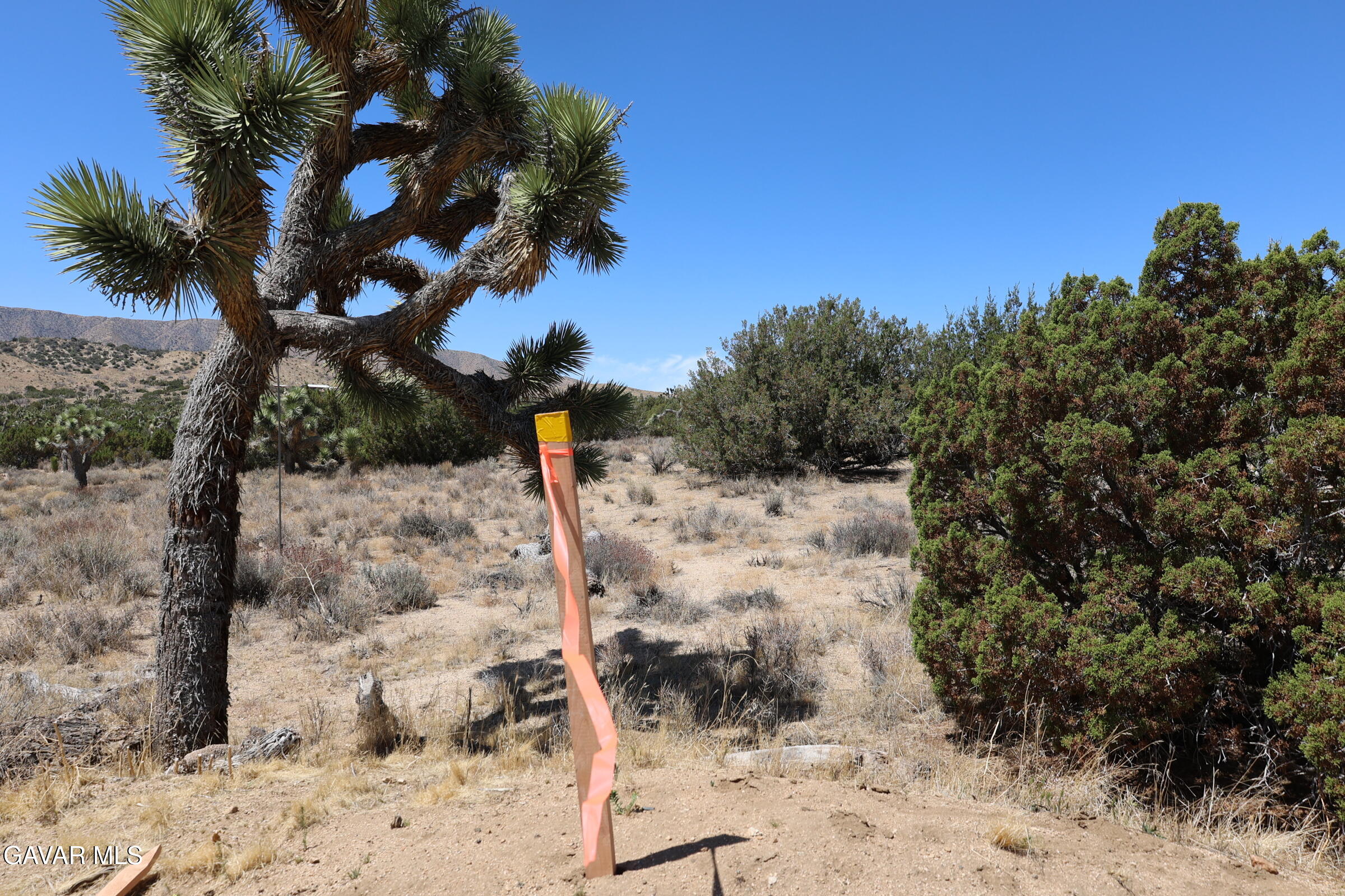 Juniper Hills, California 93543, United States, ,Land,Active,155378