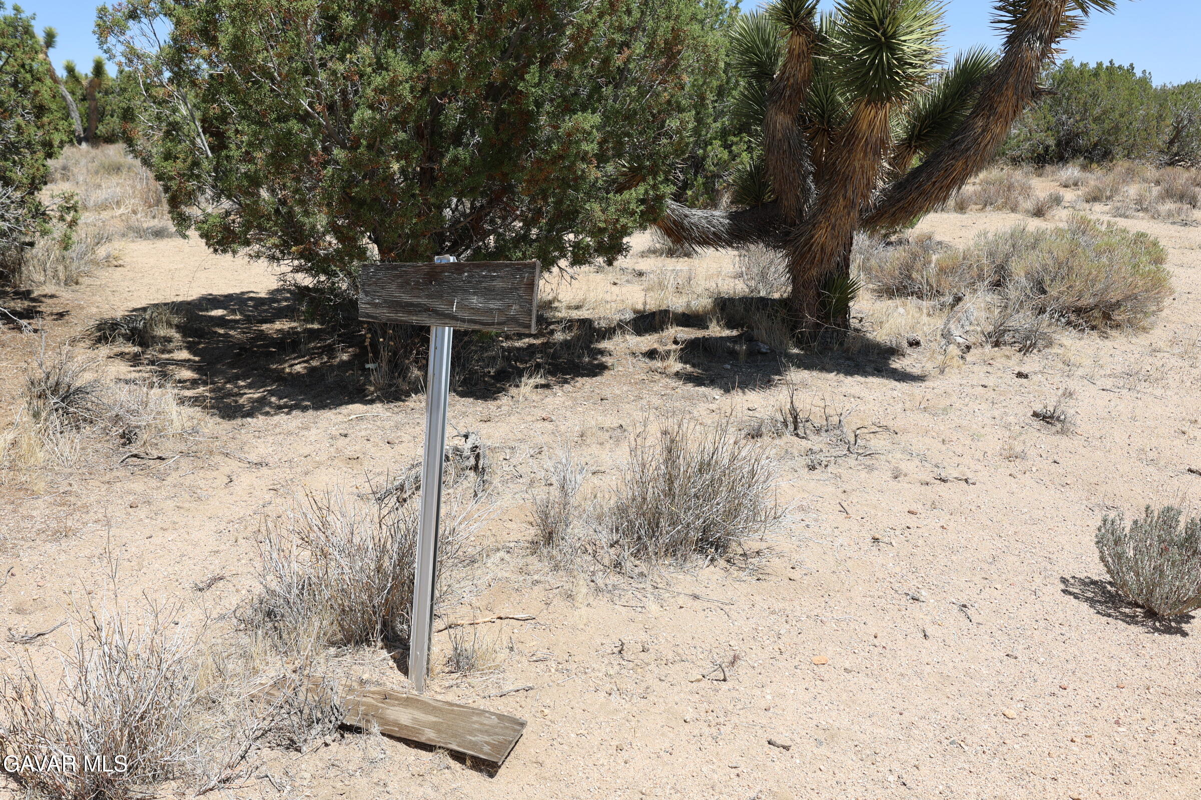 Juniper Hills, California 93543, United States, ,Land,Active,155378