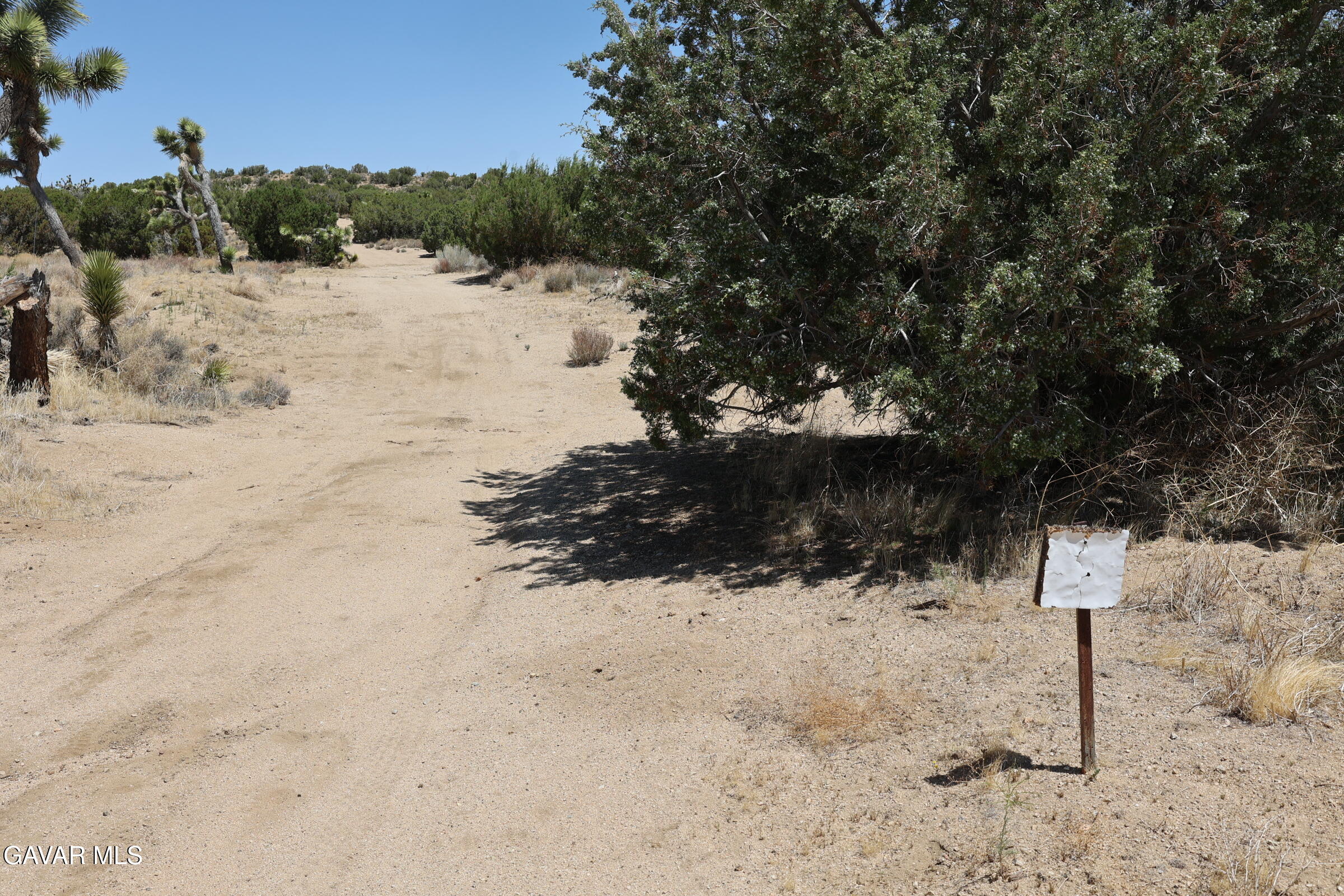 Juniper Hills, California 93543, United States, ,Land,Active,155378