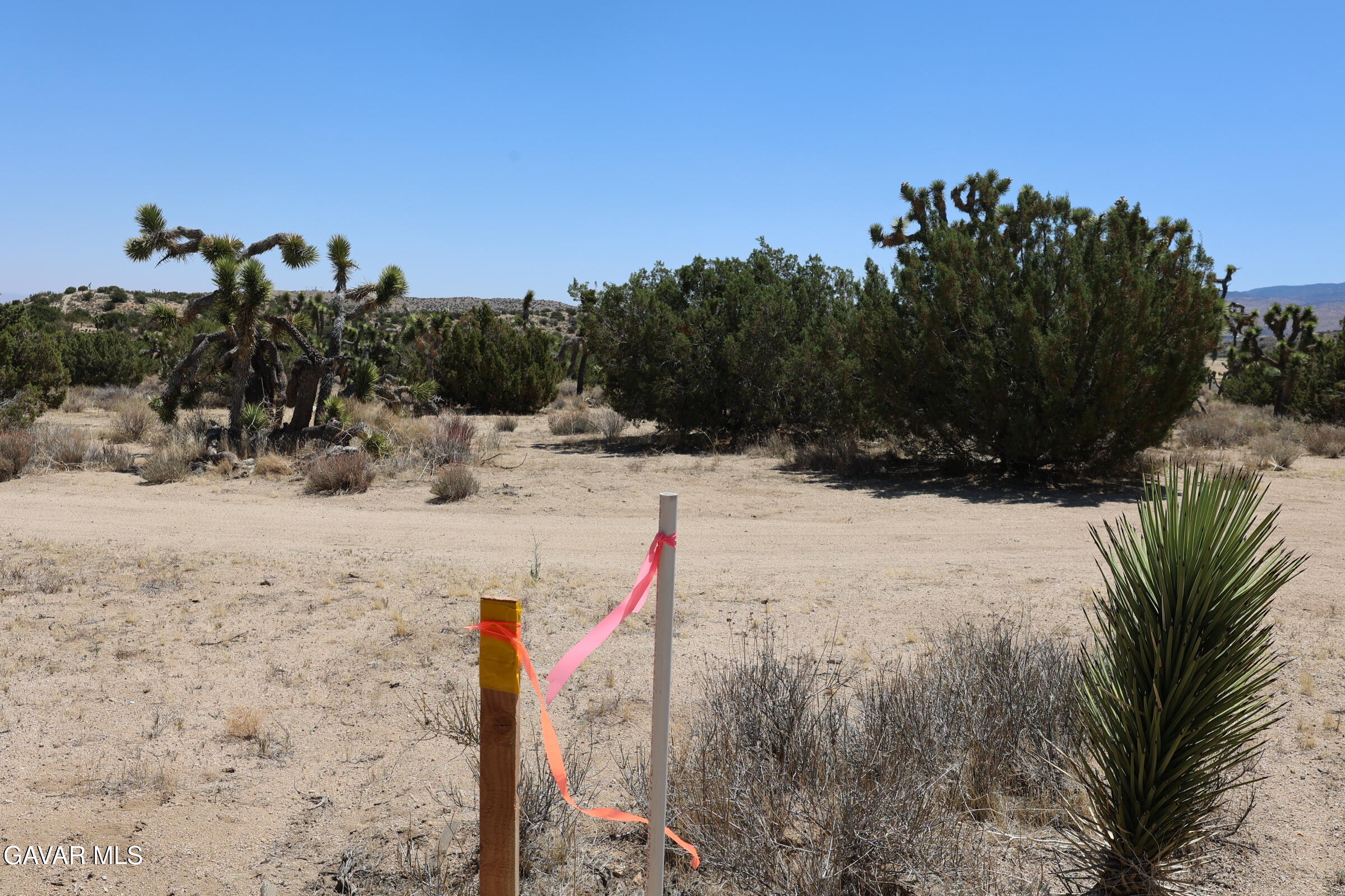 Juniper Hills, California 93543, United States, ,Land,Active,155378