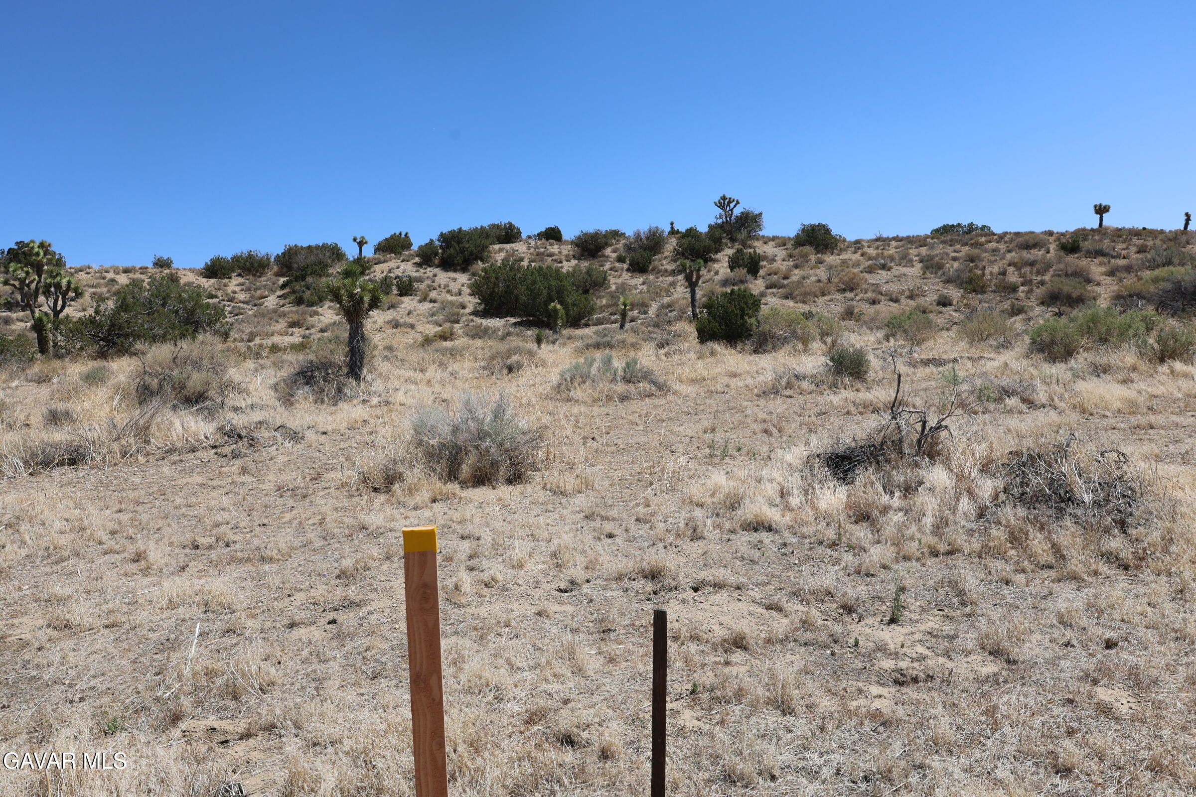 Juniper Hills, California 93543, United States, ,Land,Active,155378