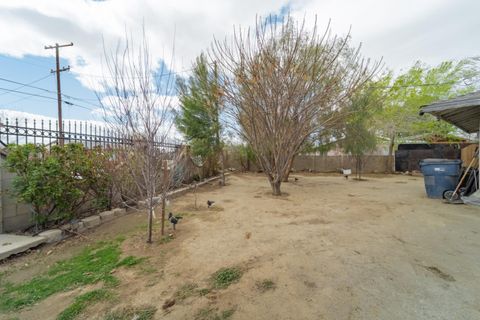 listing image 28