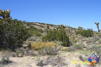 Pearblossom, California 93553, United States, ,Land,Active,162327