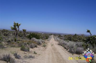 Pearblossom, California 93553, United States, ,Land,Active,162327