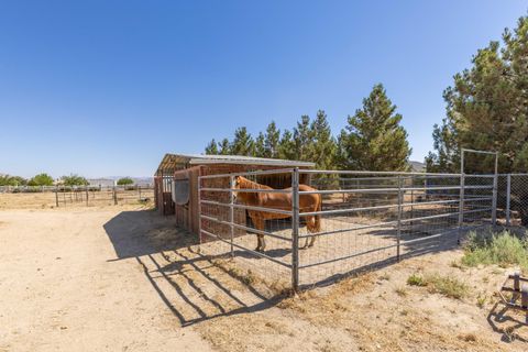 A home in Rosamond