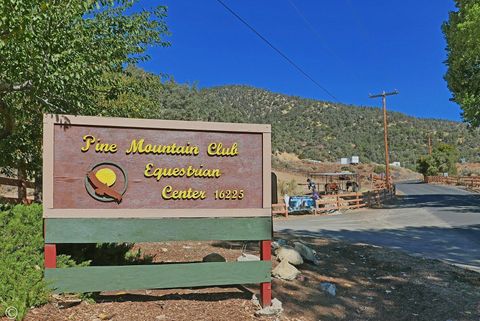 A home in Pine Mountain Club