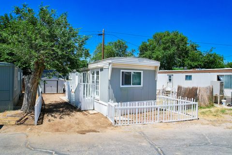 Mobile Home in Rosamond CA 1258 Rosamond Boulevard 12.jpg