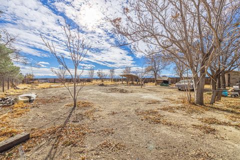 A home in Rosamond