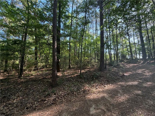 OLLIE LN, COLUMBIA, LA 71418 - Image 22b4d80b483c327c214af2aa0676d297/856432221