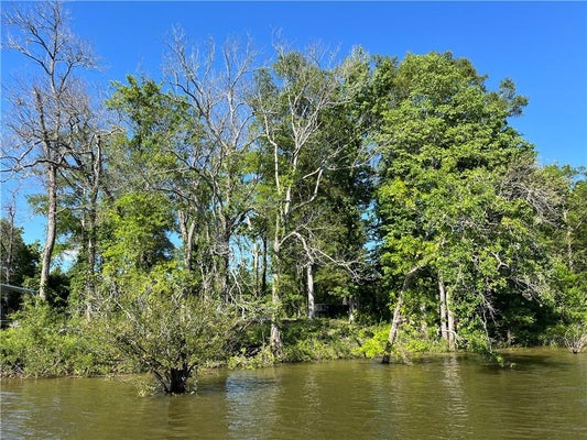 0 KINCAID ROAD, JONESVILLE, LA 71343 - Image 2bfc39efb4ee74c6992c7b7cd85704b9/1454629242