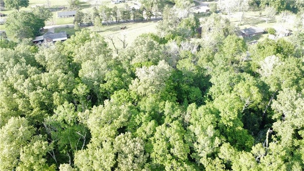 ANDRUS ST AND BARTON DR, MARKSVILLE, LA 71351 - Image 2f32ebe36d5f4da3d8a0db12a6fe4a7a/1325733170