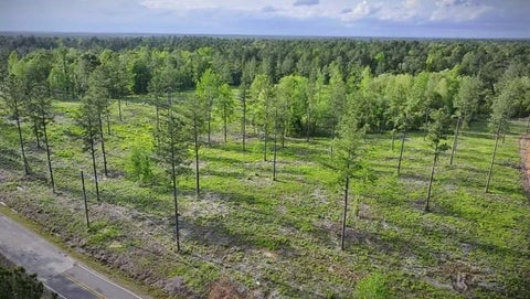 Featured picture for the property 2443461