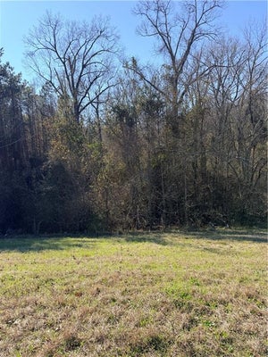 000 HIGHWAY 165, POLLOCK, LA 71467 - Image 68a3a929b50d71b7dcbf20b1be1cb3c8/3484865890