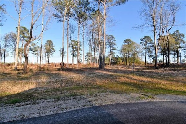 0 SOPHIE LANE, DRY PRONG, LA 71423 - Image 6a93b7a59c01e24b5bafb4a681b3dff2/3728696629