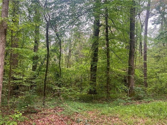 HOOPER RD, DEVILLE, LA 71328 - Image 895f74157481ec75dfd7e86340237639/3732258761