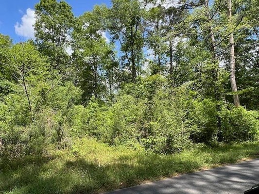 JEANE CHAPEL RD, LEESVILLE, LA 71446 - Image a00a686b41cc1413fb18a45cb77ec8d5/534875329