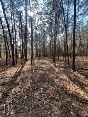 CHADWICK LOOP, PINEVILLE, LA 71360 - Image a13aed853c3aa3a7e2ae67125cbf1680/3789923218