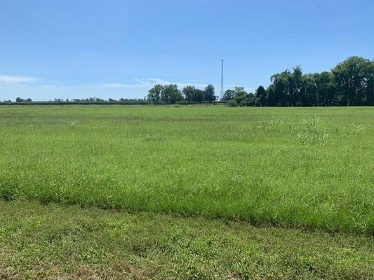 320 FARM LANE, ALEXANDRIA, LA 71303 - Image a5a2cf260e94c90cf032b1fff01650e4/254642214