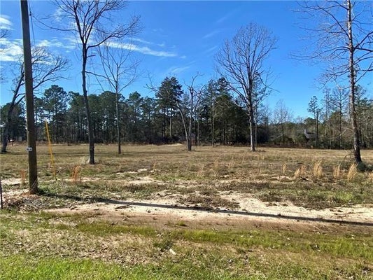 0 SOPHIE LANE, DRY PRONG, LA 71423 - Image c3af4fa42e00e1650903f708d476d8ea/626892088