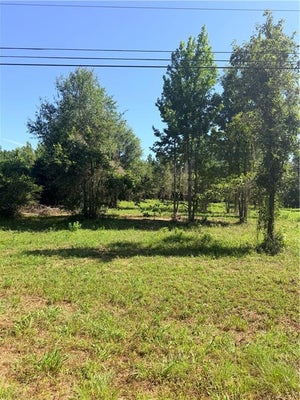 216 HUGHART ROAD, POLLOCK, LA 71467 - Image c8c2d6b01ded83ebfe917e4025e68fe3/1220779453