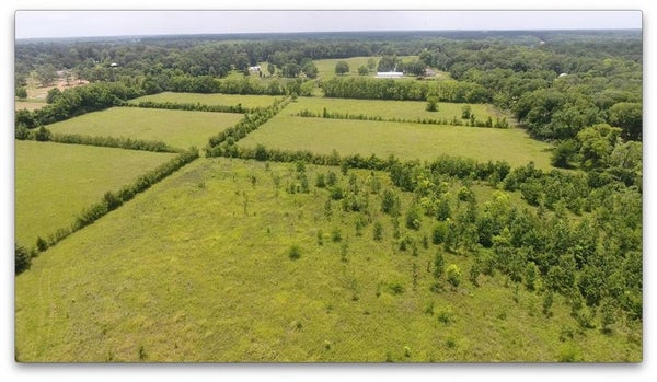 ROBINSON BRIDGE RD, WOODWORTH, LA 71485 - Image f2623df0b9fb65cd9b496c4a2d3bcb32/3936998700